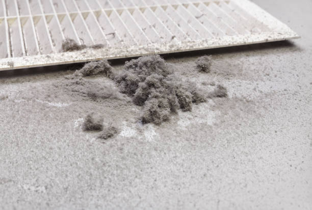 Best Air Duct Mold Removal  in Grand Rapids, MI